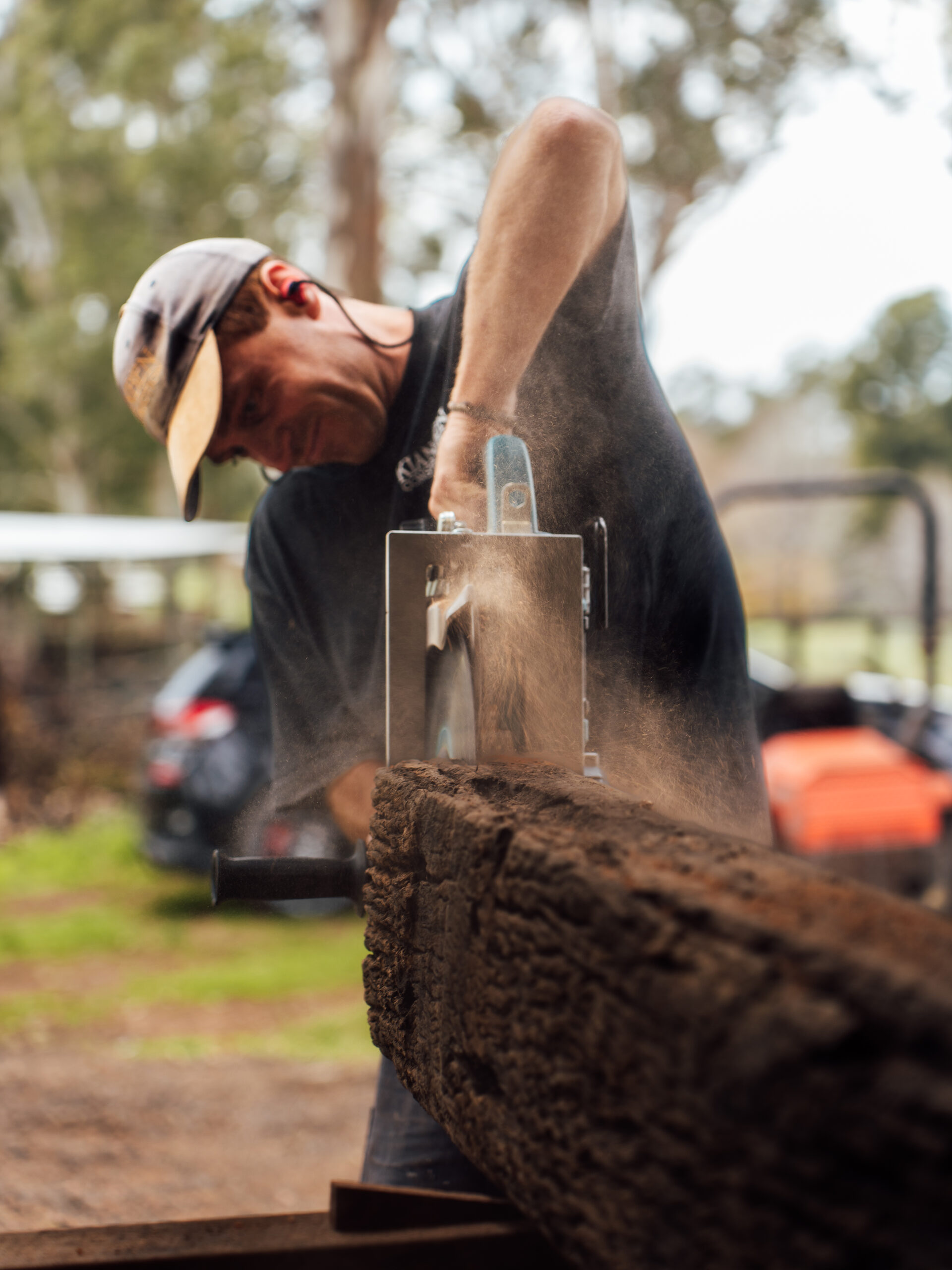 Power-sawing a timber log outdoors, sawdust flying