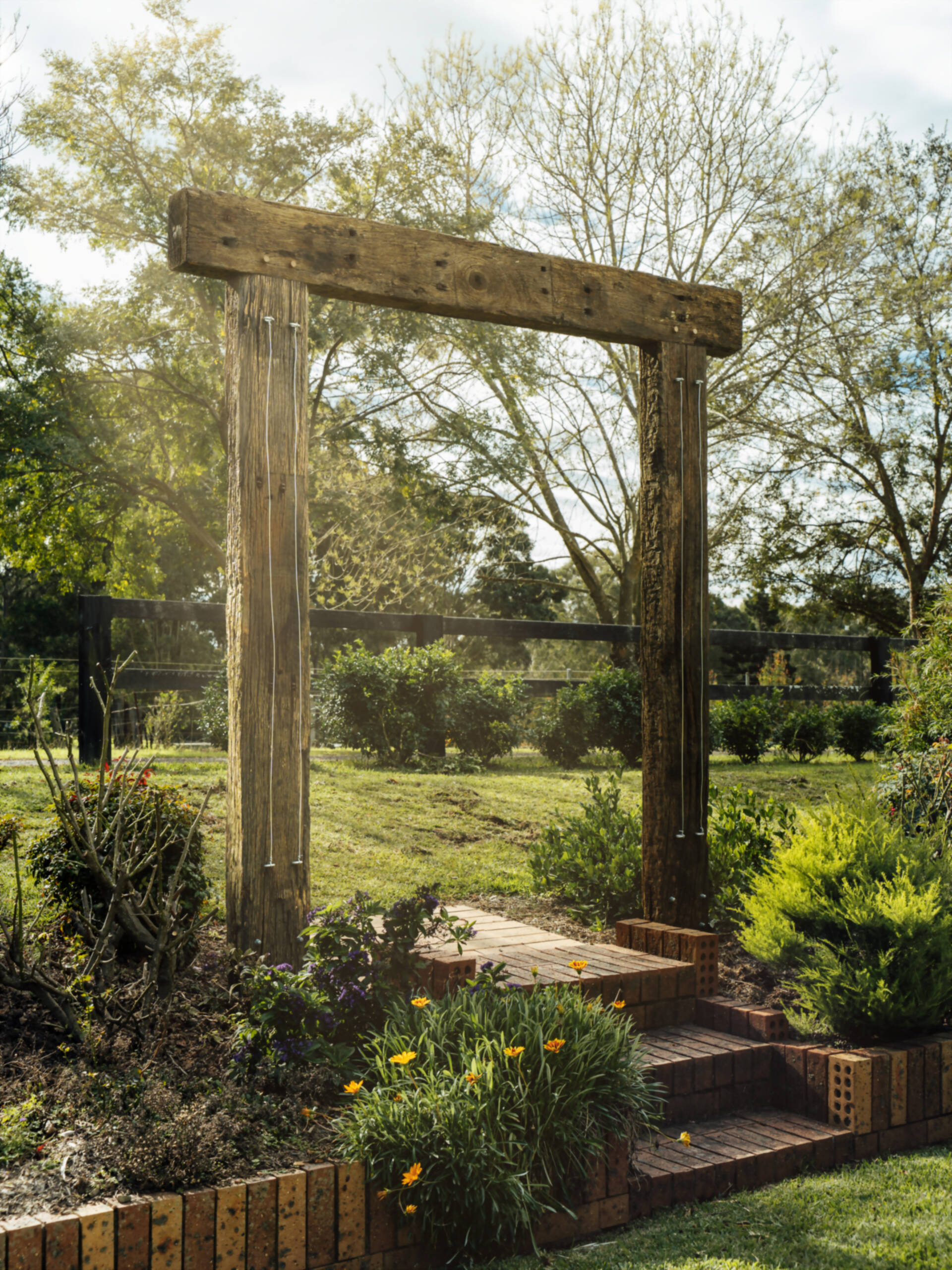 Finished hardwood pergola in a garden, backlit