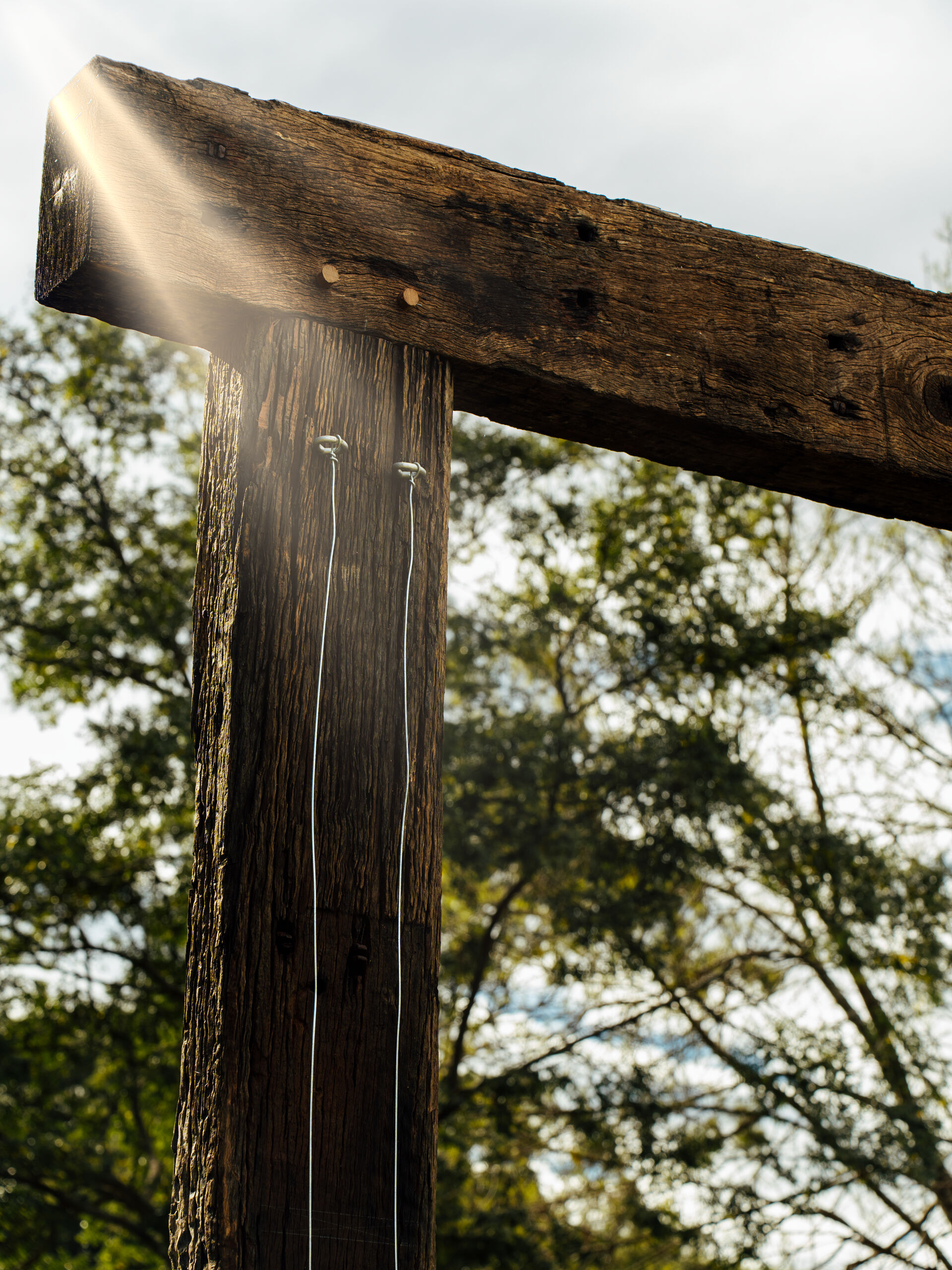 A pegged mortise-and-tenon corner joint, rim-lit against the garden behind it.